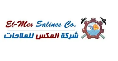 Logo/E-Invoice/شركة المكس للملاحات.webp